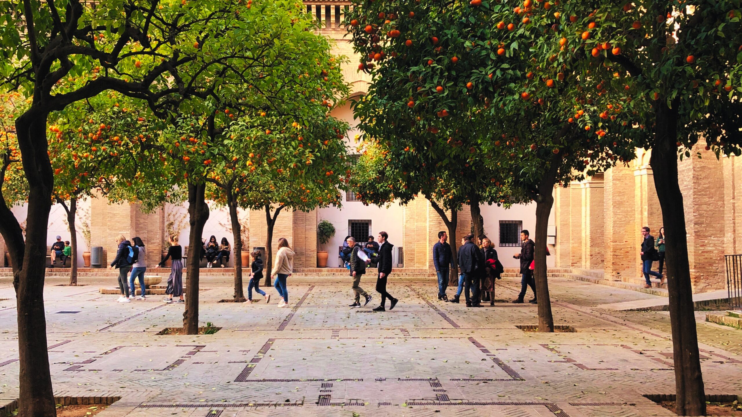 Gorke naranče u Sevilli